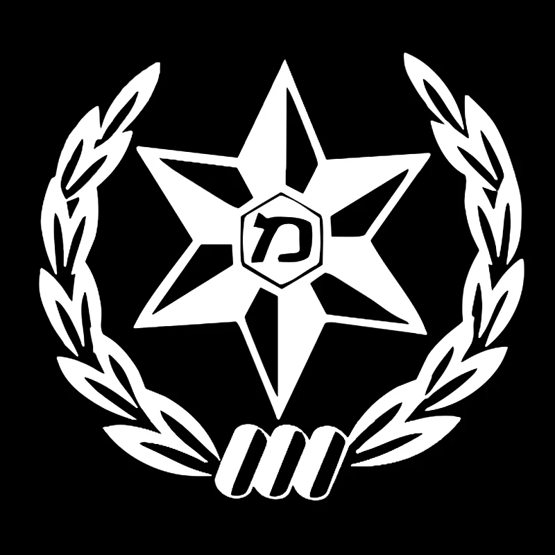 Car Sticker  Die-cut Vinyl Dec - огляд і ціна Car Accessories Nz